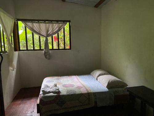 a bedroom with a bed and a window at GreenPoint Drake Bay in Drake