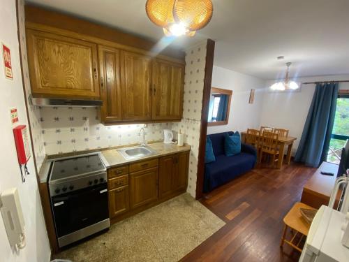a kitchen with wooden cabinets and a stove top oven at Gerês River - Apartamento na Natureza in Geres