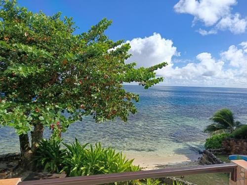 a view of the ocean from a beach with a tree at La PERLE de MOOREA Suite Parentale BORD DE LAGON baie d'OPUNOHU in Orufara