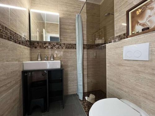 Un baño con inodoro, lavabo y ducha. en One-bedroom apartment, en Zirkitz
