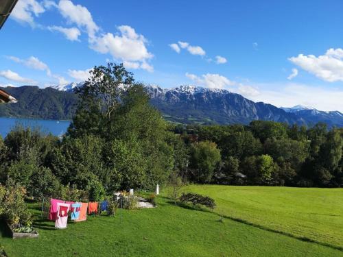 a field with clotheslines with a view of a lake and mountains at One-bedroom apartment in Nussdorf am Attersee