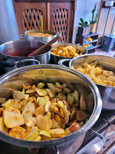 a bunch of pots of food on a stove at Hostal Boutique El Vergel Azul in Castro