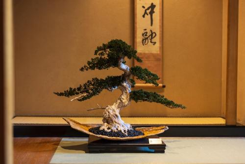 a bonsai tree sitting on top of a table at Hakone Yumoto Onsen Hotel Kajikaso in Hakone