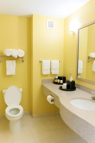 a bathroom with a toilet and a sink at Ambassador Inn & Suites Tuscaloosa University I-20 in Tuscaloosa