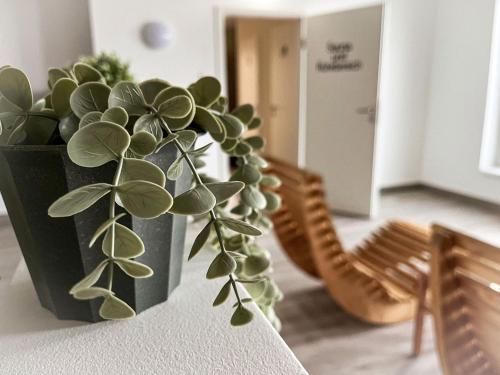 a potted plant sitting on a table in a room at Haus Horizont I HZ21 in Cuxhaven