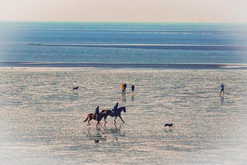 a group of people riding horses on a beach with a dog at Haus Horizont I HZ21 in Cuxhaven