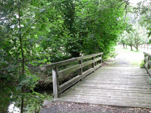 a wooden bridge over a stream in a park at Holiday home in the Lüneburg Heath in Wietzendorf