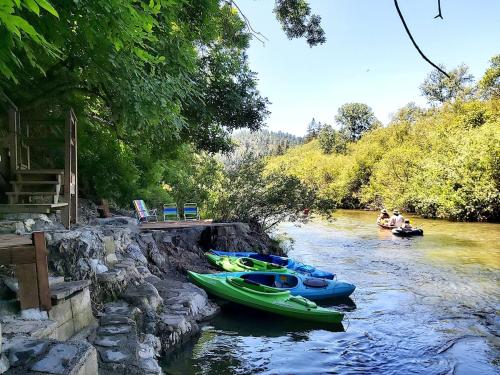 un grupo de personas en barcos en un río en -Fall SALE Upscale GetAway at BEACH,KAYAKS,SPA,Sauna, en Forestville