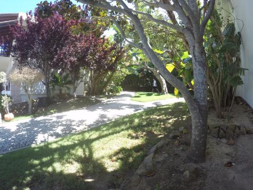 Jardin de l'établissement Luzmar Villas