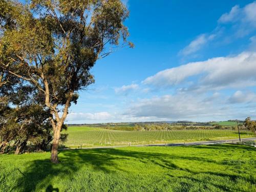 a tree in the middle of a green field at Ultima Escapes - Carcoola House - Barossa Fringe Retreat in Greenock