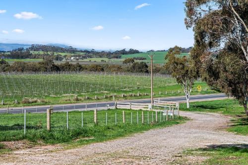 a road in the middle of a field with vines at Ultima Escapes - Carcoola House - Barossa Fringe Retreat in Greenock
