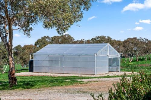 a large white greenhouse in a field with a tree at Ultima Escapes - Carcoola House - Barossa Fringe Retreat in Greenock