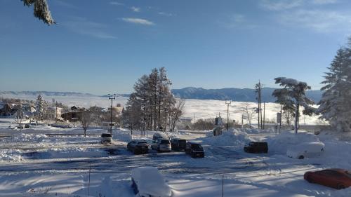 a snow covered parking lot with cars covered in snow at Pension Pure in Iiyama