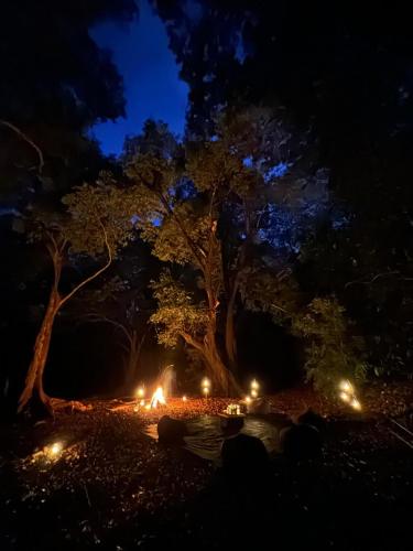 a fire pit in front of two trees at night at Kumana Under Canvas in Panama