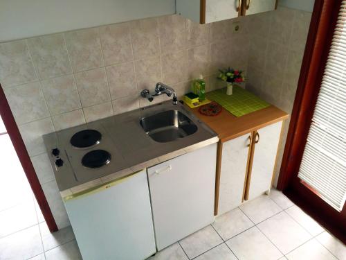 eine kleine Küche mit einer Spüle und einer Theke in der Unterkunft Apartments Pavić in Betina