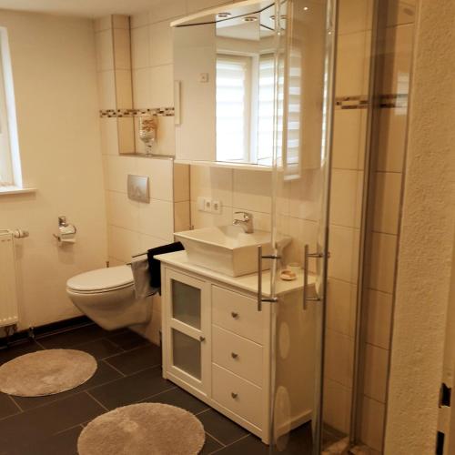 a bathroom with a toilet and a sink and a shower at Ferienhaus Brit in Albstadt
