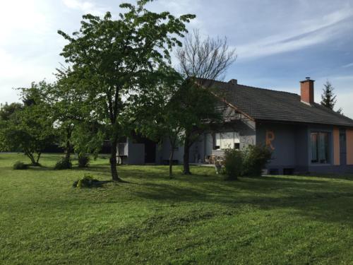 a house with a tree in front of a yard at Guest House Šempeter in Šempeter v Savinjski Dolini