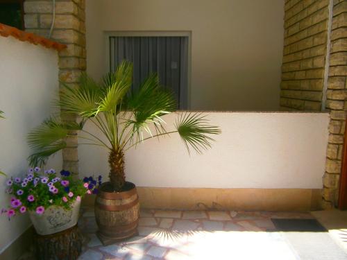 Gallery image of Bed & Breakfast Pansion Rade in Pirovac