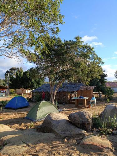 two tents in a field with a tree and rocks at Ecocamping Okaeté in Buíque