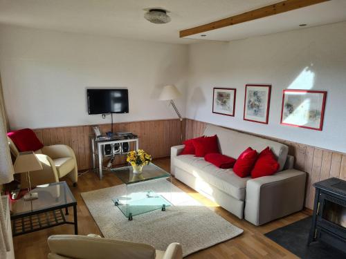 a living room with a white couch and red pillows at Wohnung in Frankenau nahe Skipisten in Frankenau