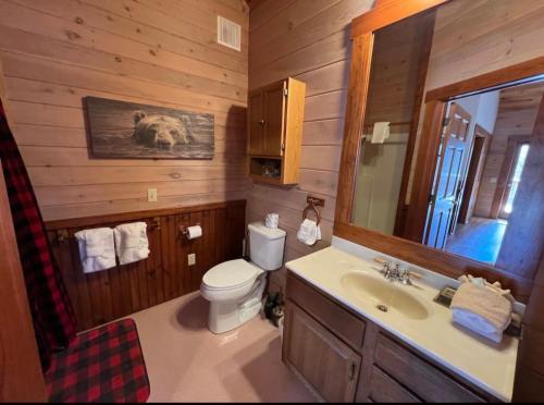 a bathroom with a toilet and a sink and a mirror at Perfectlocation,PerfectviewsforTwo,Indoor Jacuzzi,hottub,FreeticketstoDollywood,Anakeesta,&More in Gatlinburg