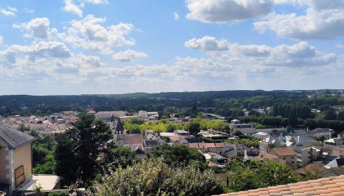 een stad met bomen en gebouwen bij La ville haute in Chauvigny