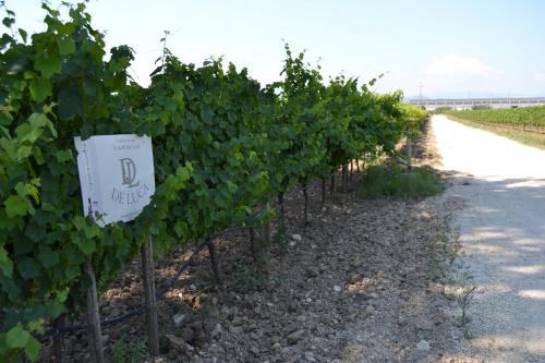 Gambar di galeri bagi Agriturismo De Luca di Mozzagrogna