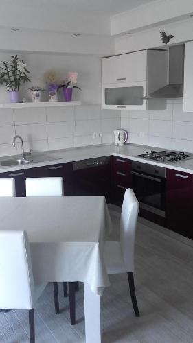 Kuchyň nebo kuchyňský kout v ubytování Apartment Nana