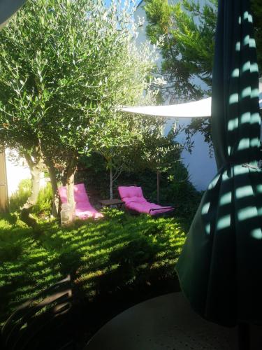 a backyard with pink beds in the grass at Tiny house in Avignon