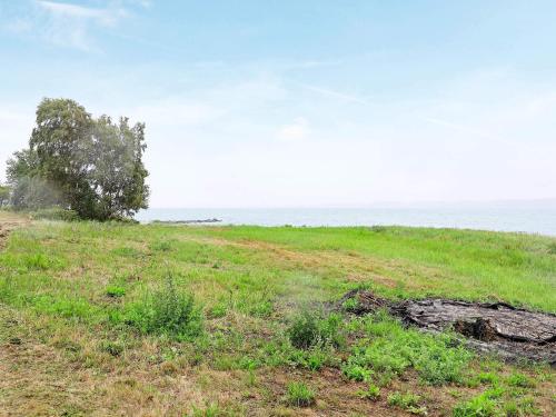 a field with a tree and the ocean in the background at 4 person holiday home in Nykøbing M-By Traum in Refshammer