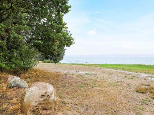 a dirt road next to a tree and the ocean at 4 person holiday home in Nykøbing M-By Traum in Refshammer