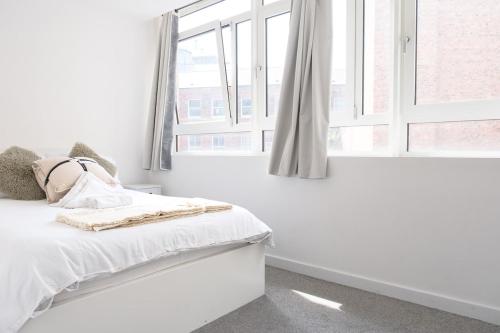 シェフィールドにあるStylish Central Retreat, Heart of the Action, Netflixのベッドと窓のある白い寝室
