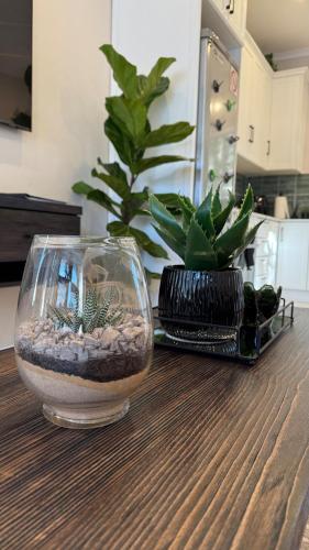 The Urban Elm Guesthouseにあるキッチンまたは簡易キッチン