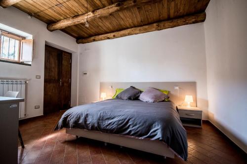 Montesano sulla MarcellanaにあるIl Giardino di Lavandaの木製の天井が特徴のベッドルーム1室(大型ベッド1台付)