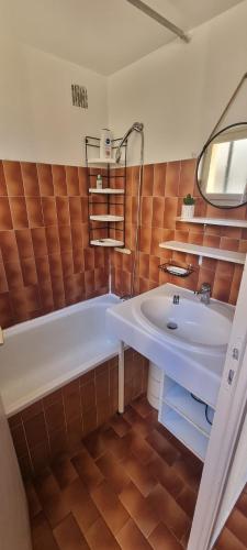 a bathroom with a tub and a sink at Maison porticcio vue mer chez Olivier in Grosseto-Prugna