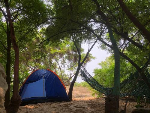 Un paisaje natural cerca del camping