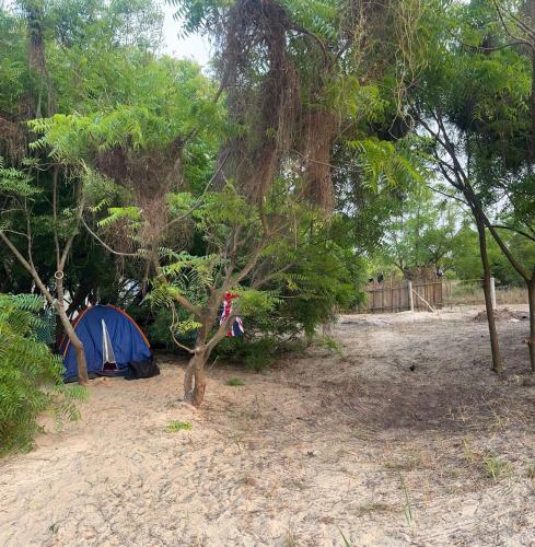 Una tienda de campaña azul situada junto a un bosque. en Tarkwabay Beach Trips, en Victoria Island