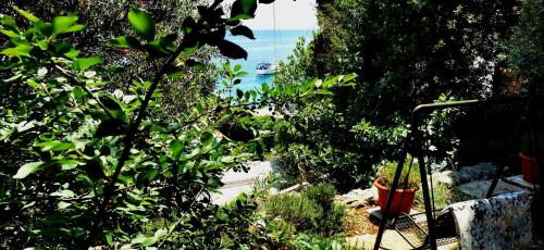 a garden with trees and a view of the ocean at Beach House Bella Vista apartments in Trogir