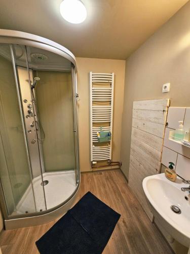 a bathroom with a shower and a sink at Hostel pod gradom in Celje