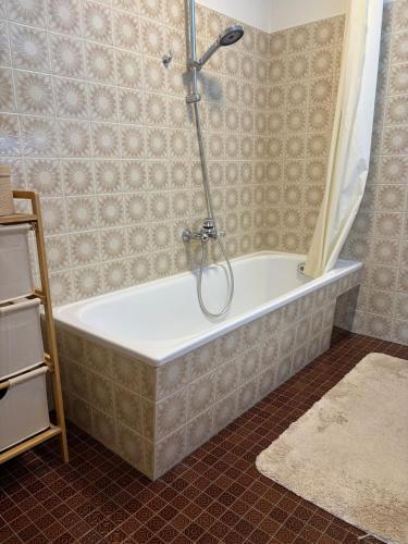 Thüringerbergにある2-room apartmentのギャラリーの写真