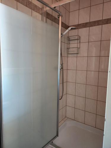 a shower with a glass door in a bathroom at Casa Mea Privatzimmer 1 in Klingenbach