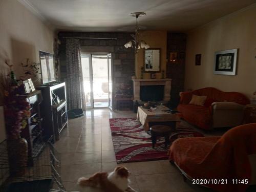a living room with a cat sitting on the floor at Διαμέρισμα Μαρία in Kalabaka