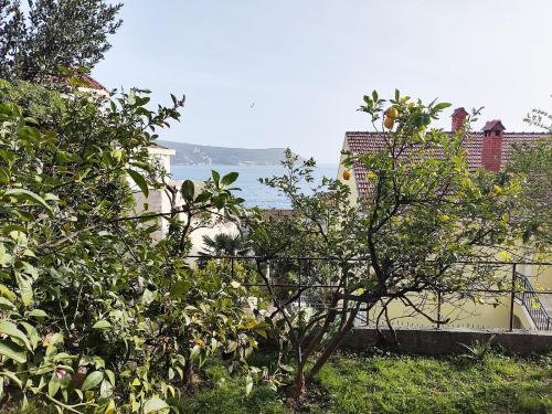 Ein Baum vor einem Zaun mit dem Ozean im Hintergrund in der Unterkunft Lana 38 in Savina