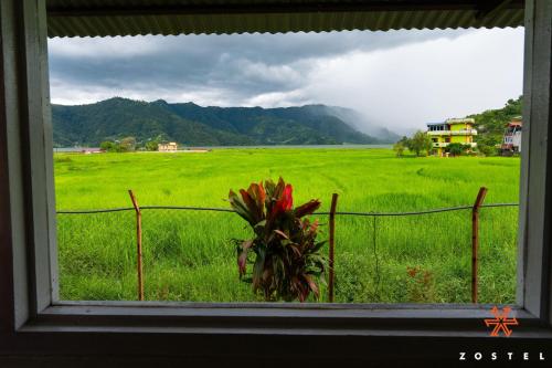 a window view of a green field with a fence at Zostel Pokhara in Pokhara