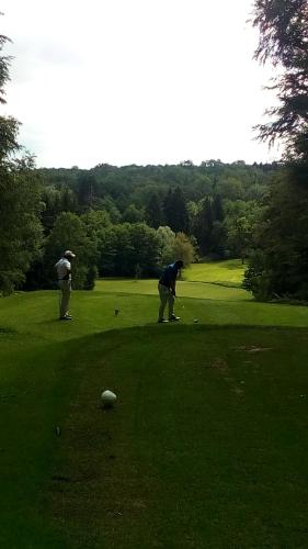 a man is playing golf on a golf course at Le Roi du Sundgau près de la Horse - Mooslargue in Mooslargue
