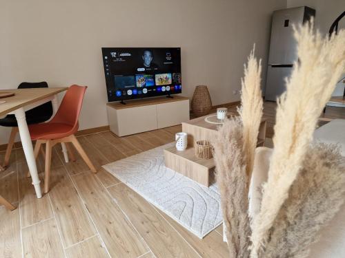 T3 Duplex - Centre-ville