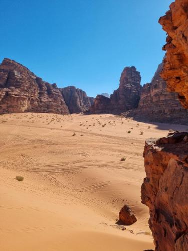 a view of the desert from a cliff at White Desert Camp in Wadi Rum