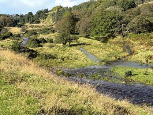 a river in a field with grass and trees at Bedwellty Lodge near BikePark Wales in Tredegar