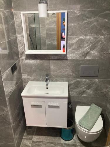 a bathroom with a sink and a toilet and a mirror at Olimpia Hotel in Fethiye