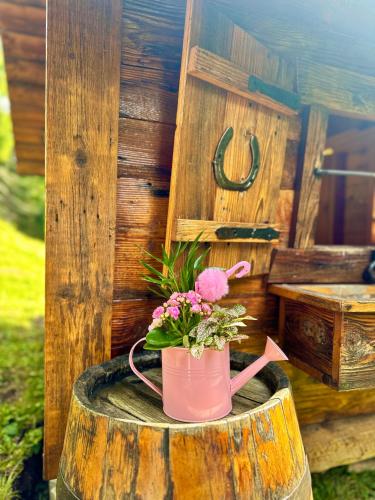 a flower pot sitting on top of a wooden stump at Chalet Látky in Látky